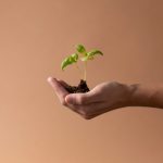 La méthode Kaizen : comment changer sa vie sans révolution
